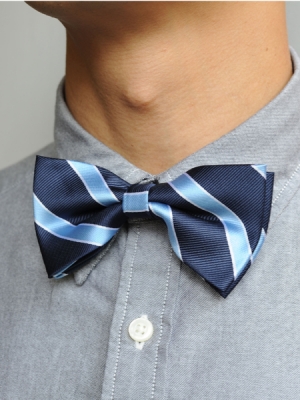 Bow Tie (Blue/Light Blue Strap)